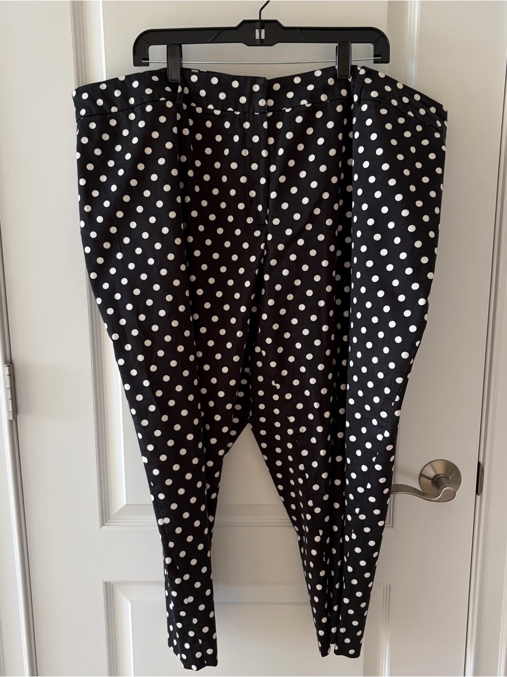 Focus 2000 Black and White Polka Dot Pants